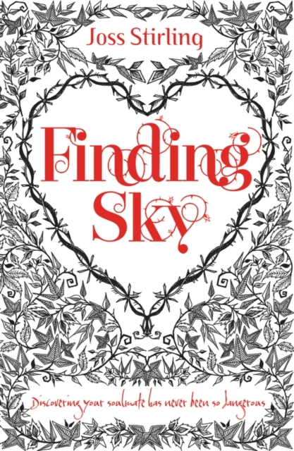 Finding Sky, Paperback / softback Book