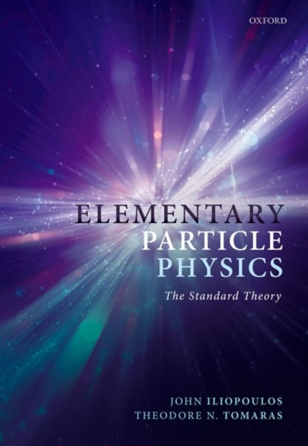 Elementary Particle Physics : The Standard Theory, Paperback / softback Book