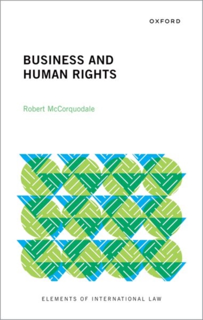 Business and Human Rights, Hardback Book