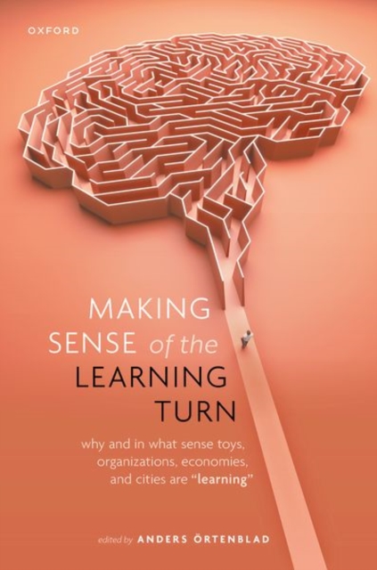Making Sense of the Learning Turn : Why and In What Sense Toys, Organizations, Economies, and Cities are "Learning", Hardback Book