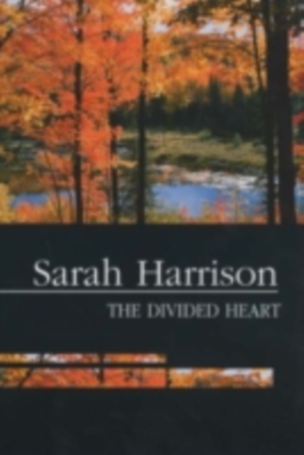 The Divided Heart : Essays on Protestantism and the Enlightenment in America, Hardback Book