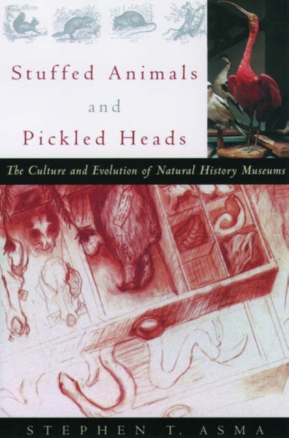 Stuffed Animals and Pickled Heads : The Culture of Natural History Museums, Paperback / softback Book