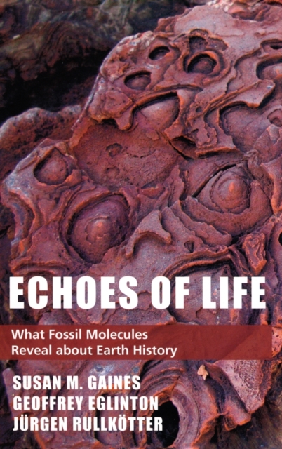 Echoes of Life : What Fossil Molecules Reveal about Earth History, Hardback Book