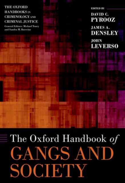 The Oxford Handbook of Gangs and Society, Hardback Book
