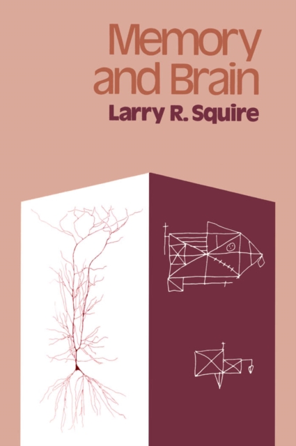 Memory and Brain, PDF eBook