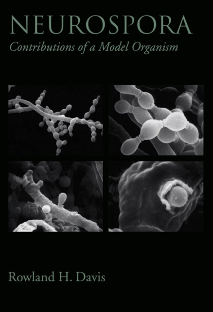 Neurospora : Contributions of a Model Organism, PDF eBook