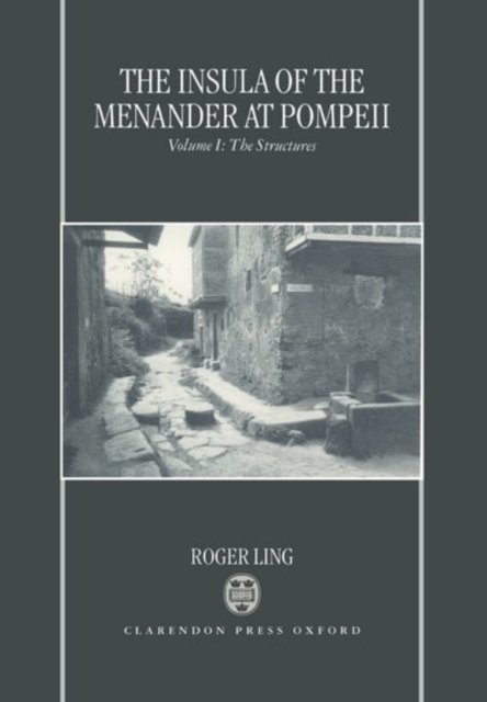 The Insula of the Menander at Pompeii: Volume 1: The Structures, Hardback Book