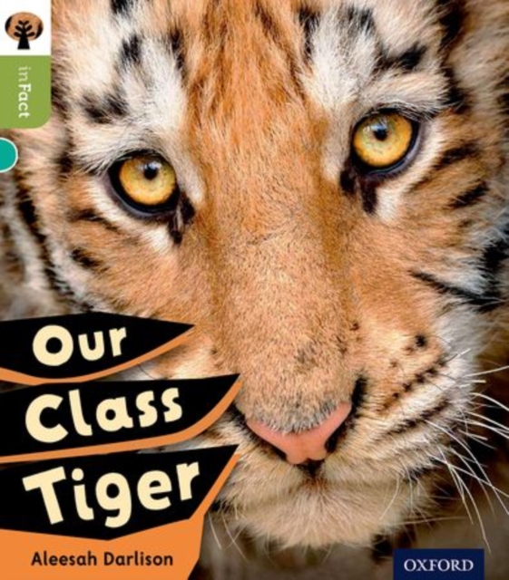 Oxford Reading Tree inFact: Level 7: Our Class Tiger, Paperback / softback Book