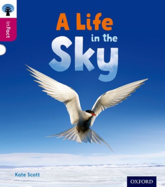Oxford Reading Tree inFact: Level 10: A Life in the Sky, Paperback / softback Book