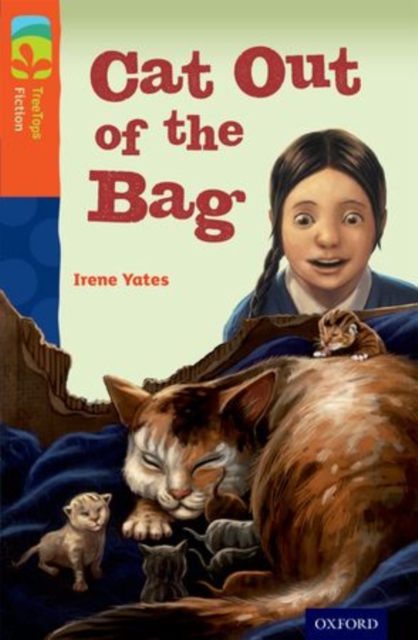 Oxford Reading Tree TreeTops Fiction: Level 13 More Pack B: Cat Out of the Bag, Paperback / softback Book