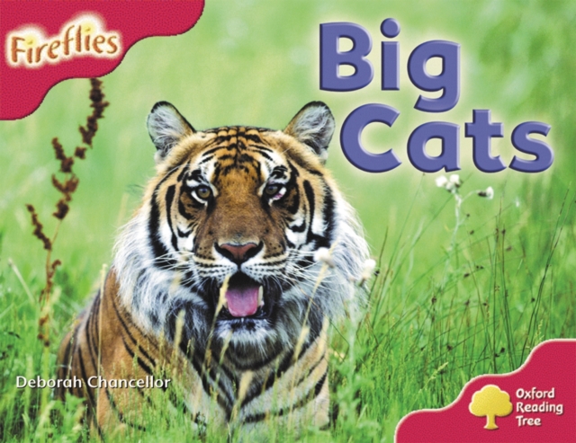 Oxford Reading Tree: Level 4: More Fireflies A: Big Cats, Paperback / softback Book