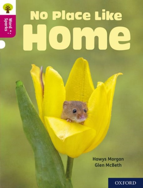 Oxford Reading Tree Word Sparks: Level 10: No Place Like Home, Paperback / softback Book