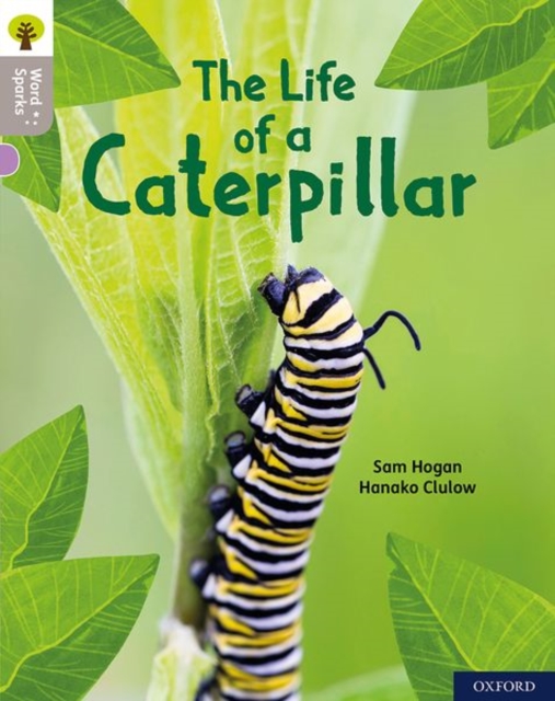 Oxford Reading Tree Word Sparks: Level 1: The Life of a Caterpillar, Paperback / softback Book