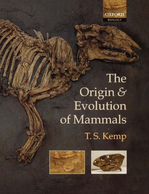 The Origin and Evolution of Mammals, Paperback / softback Book