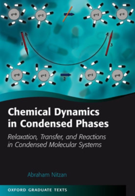 Chemical Dynamics in Condensed Phases : Relaxation, Transfer and Reactions in Condensed Molecular Systems, Hardback Book