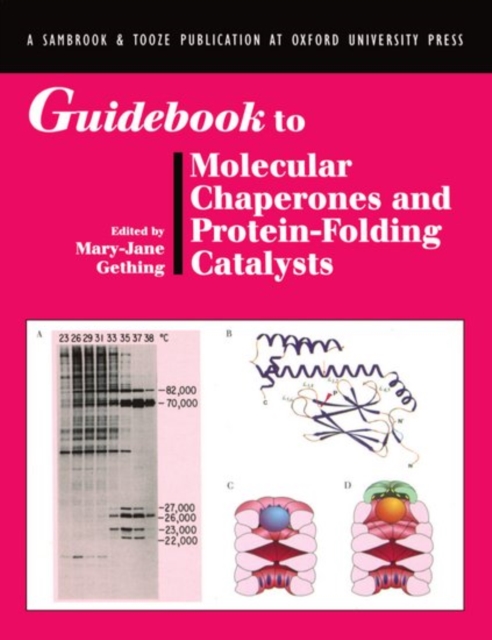 Guidebook to Molecular Chaperones and Protein-Folding Catalysts, Paperback / softback Book