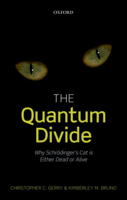 The Quantum Divide : Why Schrodinger's Cat is Either Dead or Alive, Paperback / softback Book