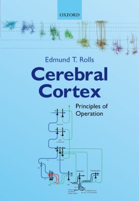 Cerebral Cortex : Principles of Operation, Paperback / softback Book