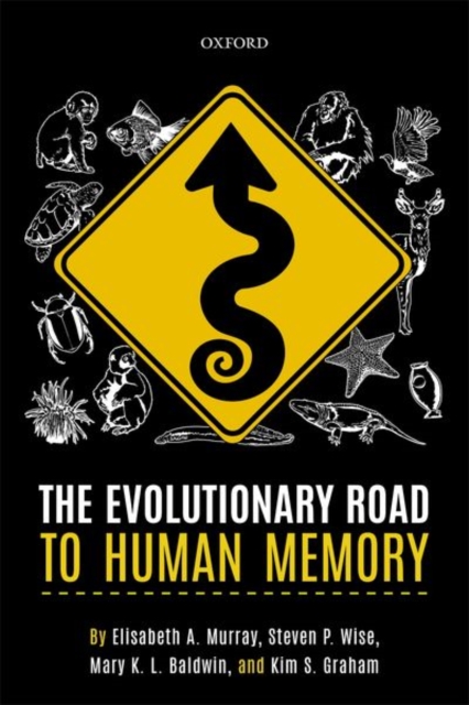 The Evolutionary Road to Human Memory, Paperback / softback Book