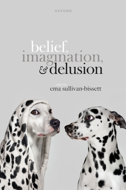 Belief, Imagination, and Delusion, EPUB eBook