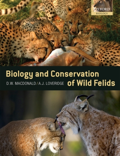 The Biology and Conservation of Wild Felids, Paperback / softback Book
