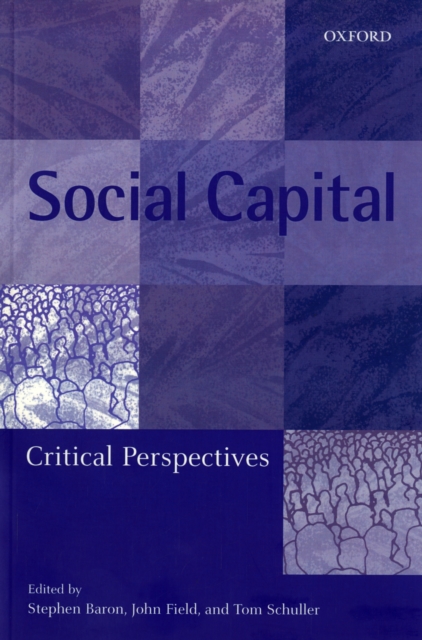 Social Capital : Critical Perspectives, Paperback / softback Book