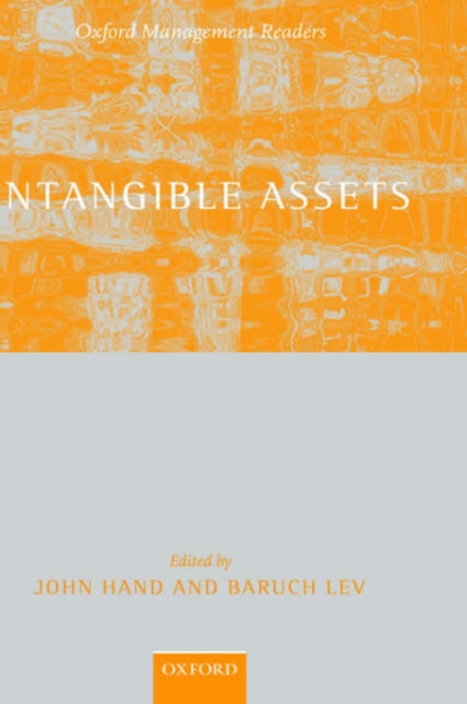 Intangible Assets : Values, Measures, and Risks, Hardback Book