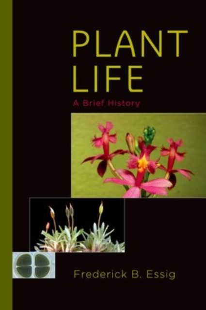 Plant Life : A Brief History, Hardback Book