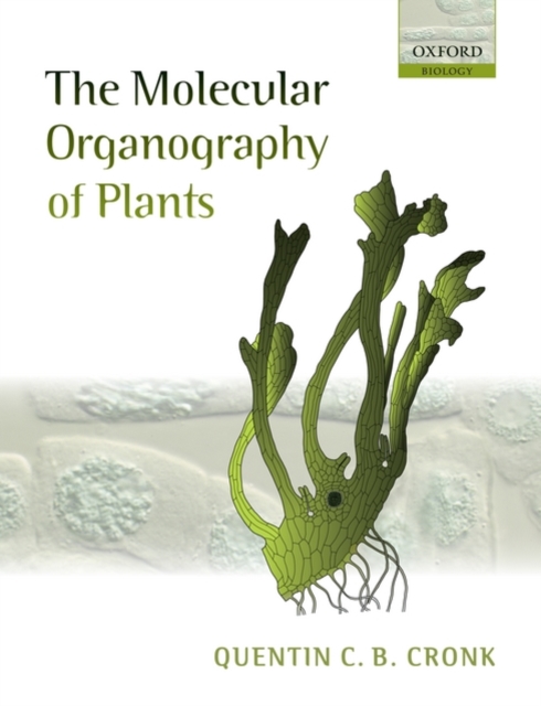 The Molecular Organography of Plants, Paperback / softback Book