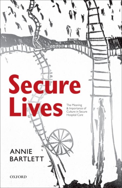 Secure Lives : The Meaning and Importance of Culture in Secure Hospital Care, Paperback / softback Book