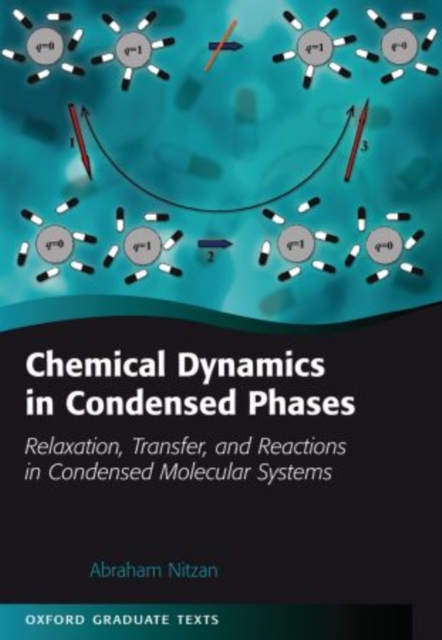 Chemical Dynamics in Condensed Phases : Relaxation, Transfer, and Reactions in Condensed Molecular Systems, Paperback / softback Book