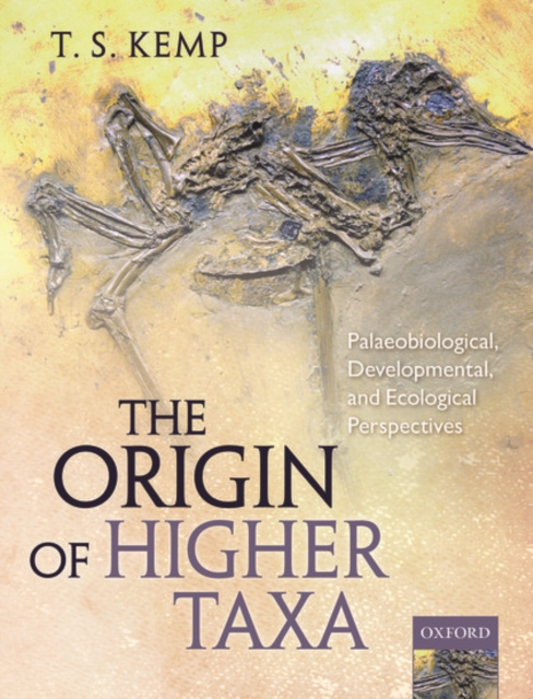 The Origin of Higher Taxa : Palaeobiological, developmental, and ecological perspectives, Hardback Book