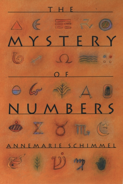 The Mystery of Numbers, EPUB eBook