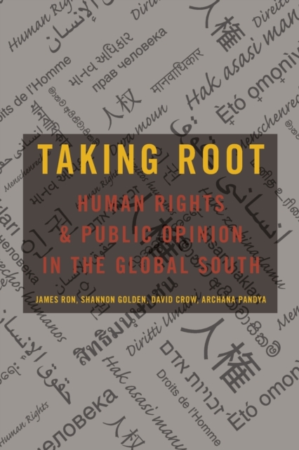 Taking Root : Human Rights and Public Opinion in the Global South, Paperback / softback Book