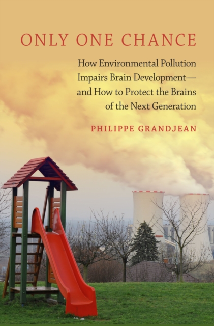 Only One Chance : How Environmental Pollution Impairs Brain Development -- and How to Protect the Brains of the Next Generation, EPUB eBook