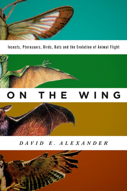On the Wing : Insects, Pterosaurs, Birds, Bats and the Evolution of Animal Flight, EPUB eBook