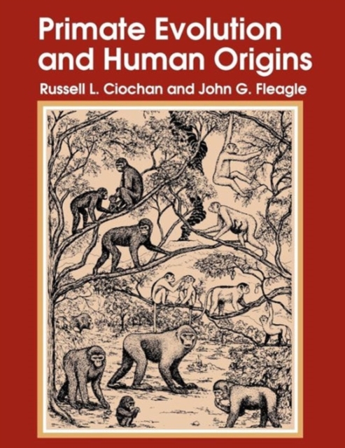 Primate Evolution and Human Origins, Paperback / softback Book
