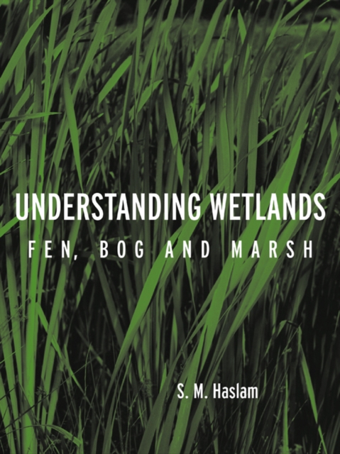Understanding Wetlands : Fen, Bog and Marsh, PDF eBook