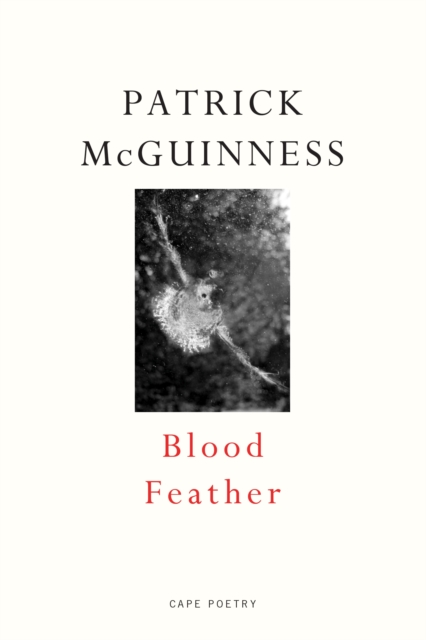 Blood Feather : ‘He writes with Proustian elan and Nabokovian delight’ John Banville, Paperback / softback Book