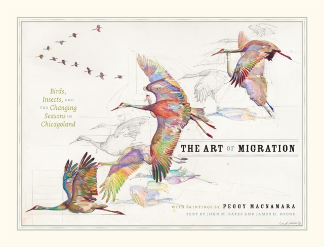 The Art of Migration : Birds, Insects, and the Changing Seasons in Chicagoland, EPUB eBook