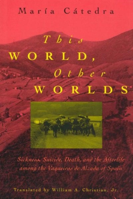 This World, Other Worlds : Sickness, Death and the Afterlife Among the Vaqueiros de Alzada of Spain, Paperback Book