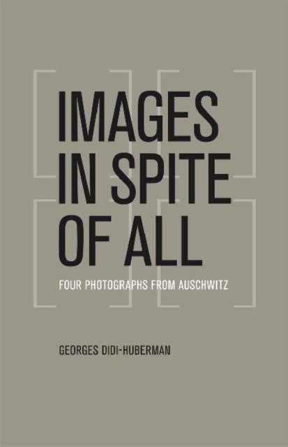 Images in Spite of All : Four Photographs from Auschwitz, Paperback / softback Book