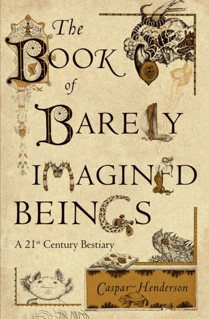 The Book of Barely Imagined Beings : A 21st Century Bestiary, Paperback / softback Book