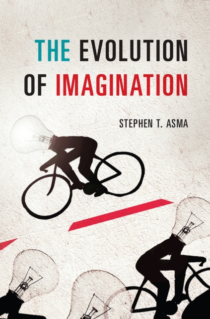The Evolution of Imagination, Hardback Book