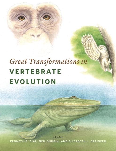 Great Transformations in Vertebrate Evolution, Hardback Book