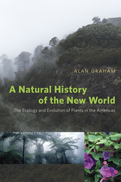 A Natural History of the New World - The Ecology and Evolution of Plants in the Americas, Paperback / softback Book