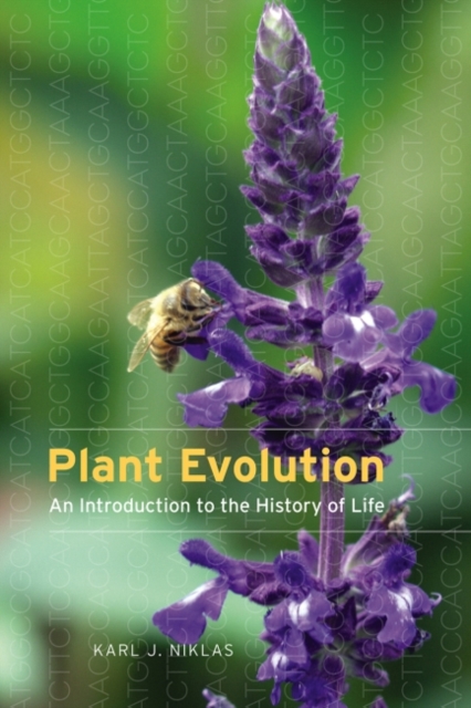 Plant Evolution : An Introduction to the History of Life, Paperback / softback Book
