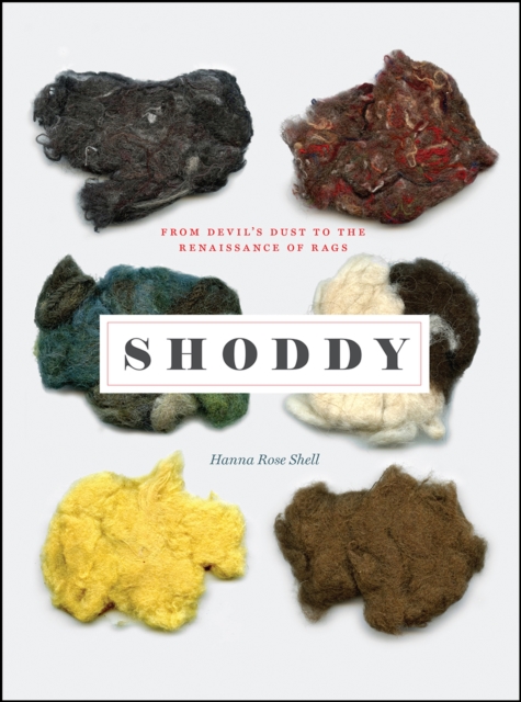 Shoddy : From Devil's Dust to the Renaissance of Rags, Hardback Book