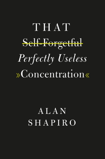 That Self-Forgetful Perfectly Useless Concentration, Hardback Book