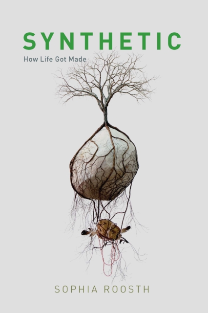 Synthetic : How Life Got Made, EPUB eBook